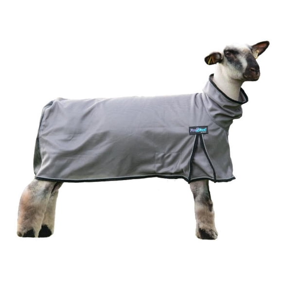 ProCoolâ„¢ Sheep Blanket with Reflective Piping, Medium, Gray