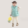 thumbnail image 5 of Chaleco acolchado cálido con capucha para niñas y niños, ropa de abrigo, chaleco aislante suave, 5 of 5