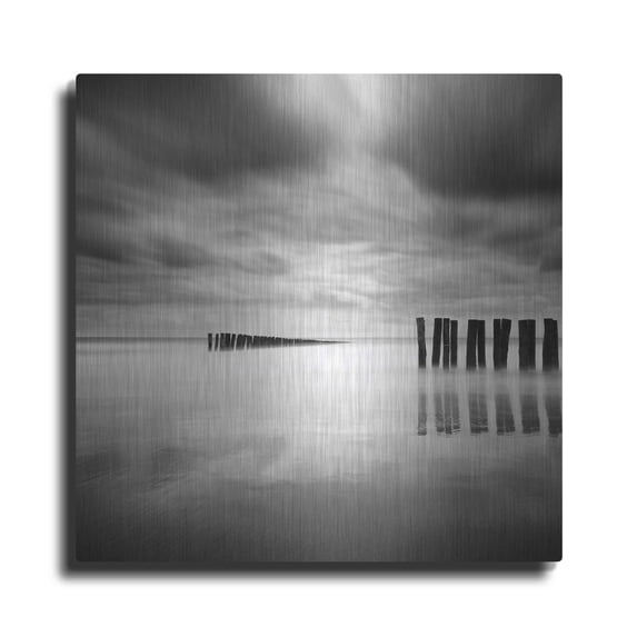 Luxe Metal Art 'The Gathering' by Wilco Dragt, Metal Wall Art, 12"x12"