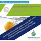 thumbnail image 4 of Ah-pbc Universal Filters, Compatible With Brita Classic, Kenwood, Laica, Pearlco, Dafi, Mavea 107007, 4 of 5
