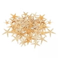 thumbnail image 1 of Estrellas de mar naturales Sunnimix conchas marinas Decoración de acuario 1-5cm 100 uds, 1 of 8
