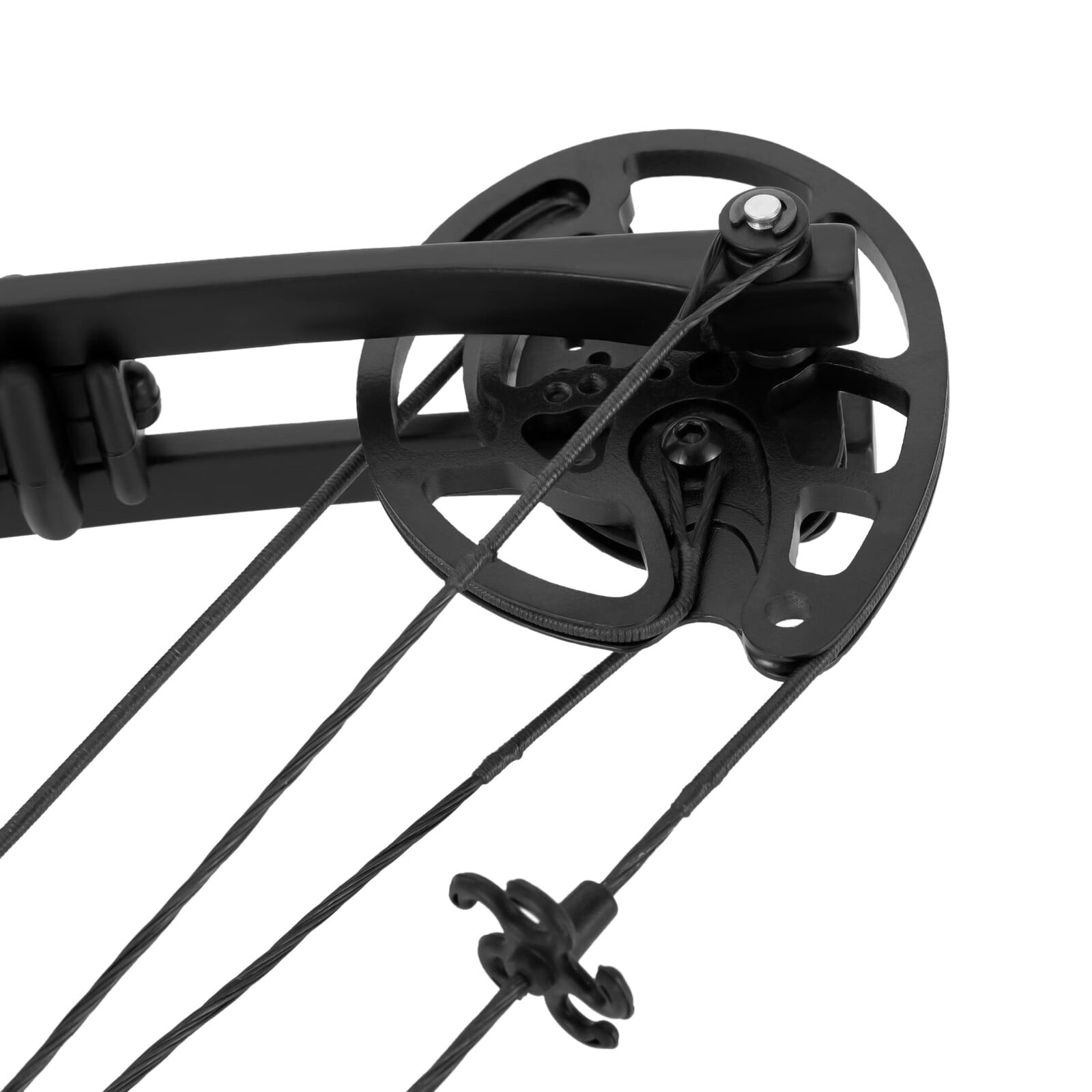 LOYALHEARTDY Right Handed Compound Bow (Adult/Teen)