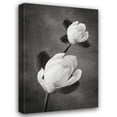 thumbnail image 1 of Vitaly Geyman 31x44 Gallery Wrapped Canvas Wall Art Titled - Tulip Tree Duet BandW, 1 of 4