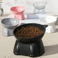 thumbnail image 7 of SLYNSHome Raised Cat Food Bowl,Plastic Elevated Tilted Cat Bowl,Whisker Friendly Kitty Feeder Dish Pink Pet Feeder Bowl, 7 of 7