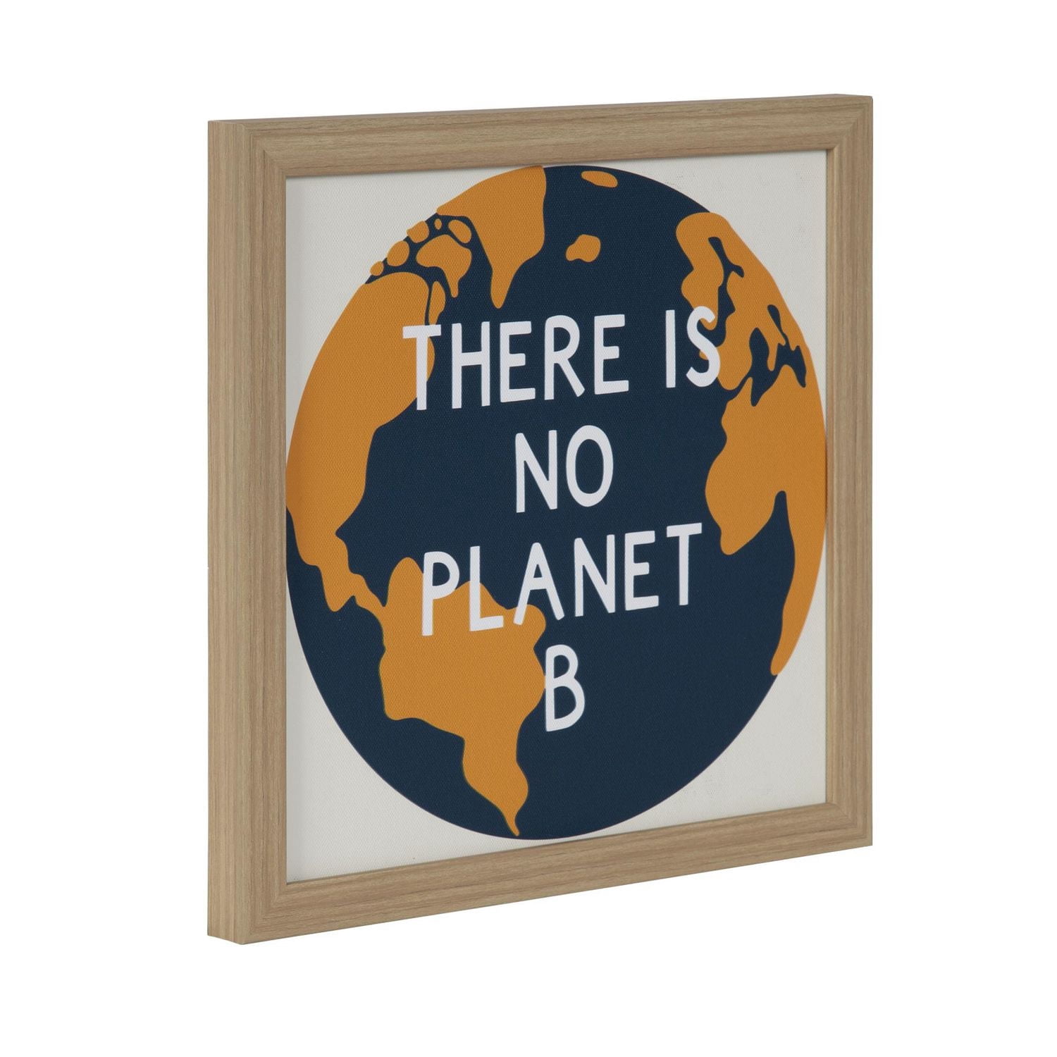 Hometrends "There is No Planet B" Framed Magnet Board
