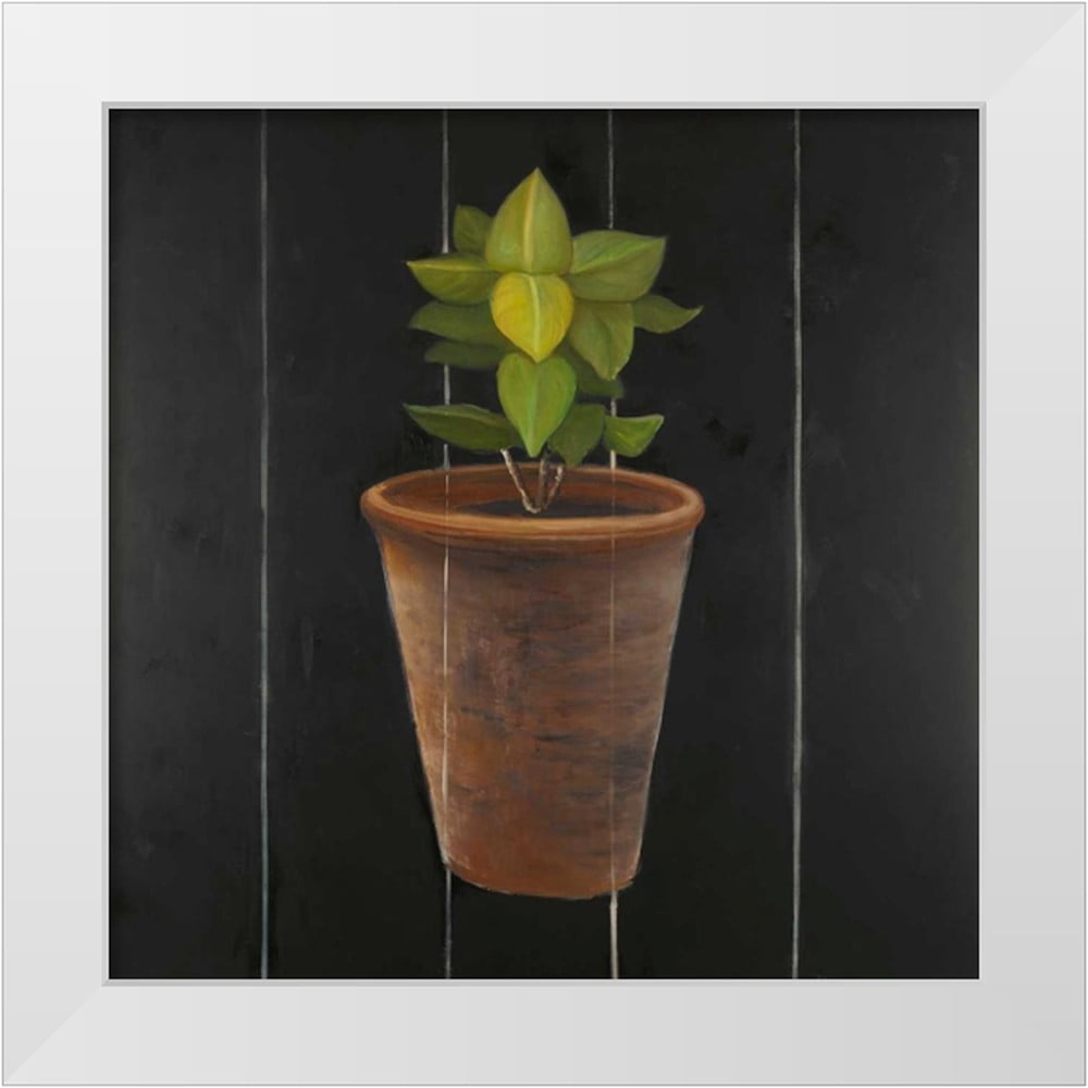 Atelier B Art Studio 26x26 White Modern Wood Framed Museum Art Print Titled Plant of Bay