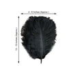 thumbnail image 3 of Efavormart 12 Pack | 13"-15" Black Natural Plume Real Ostrich Feathers, DIY Centerpiece Fillers, 3 of 10
