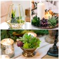 thumbnail image 2 of Set de plantas suculentas artificiales Anoak, 16 unidades, falsas, sin macetas, 2 of 9