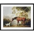 thumbnail image 2 of Art.com Bay Horse and White Dog Art Print by George Stubbs, Black Frame Wall Art, 29" x 23", 2 of 5