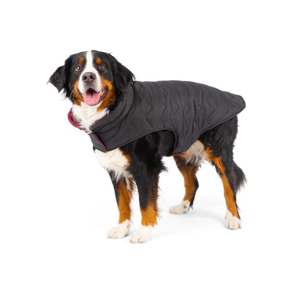 One Paw, Reversible & Packable Quilted Dog Vest