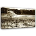 thumbnail image 1 of Alan Hausenflock 24x17 Gallery Wrapped Canvas Wall Art Titled - Vineyard II, 1 of 4