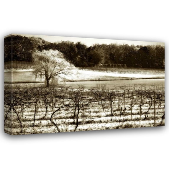 Alan Hausenflock 24x17 Gallery Wrapped Canvas Wall Art Titled - Vineyard II