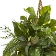 thumbnail image 2 of Nearly Natural Mixed Pothos and Boston Artificial Fern in Hanging Basket, 2 of 6