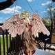 thumbnail image 1 of Atrapasol de alas de ángel de vitral, adorno colgante para ventana, hogar, jardín y oficina., 1 of 5