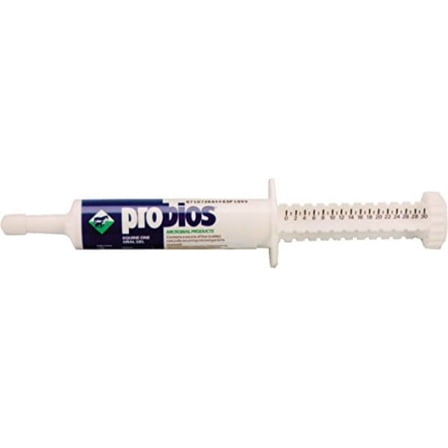 probios equine one oral gel 30cc