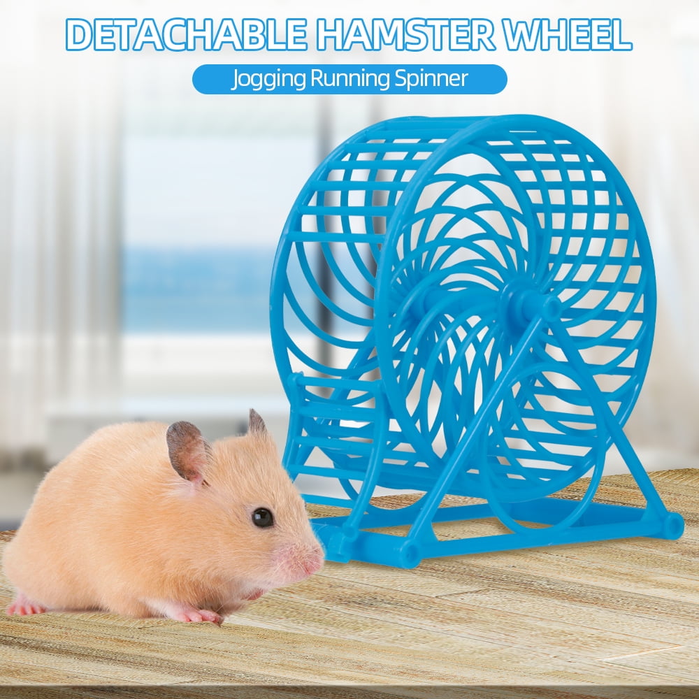 hamster running on wheel