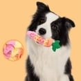 thumbnail image 4 of Squeaky Rubber Chew Toys for Small Medium Dogs, Fillable Treat Dispensing Dog Easter Basket Stuffers, Durable Teething Toy for Boredom & Anxiety Relief, 4 of 6