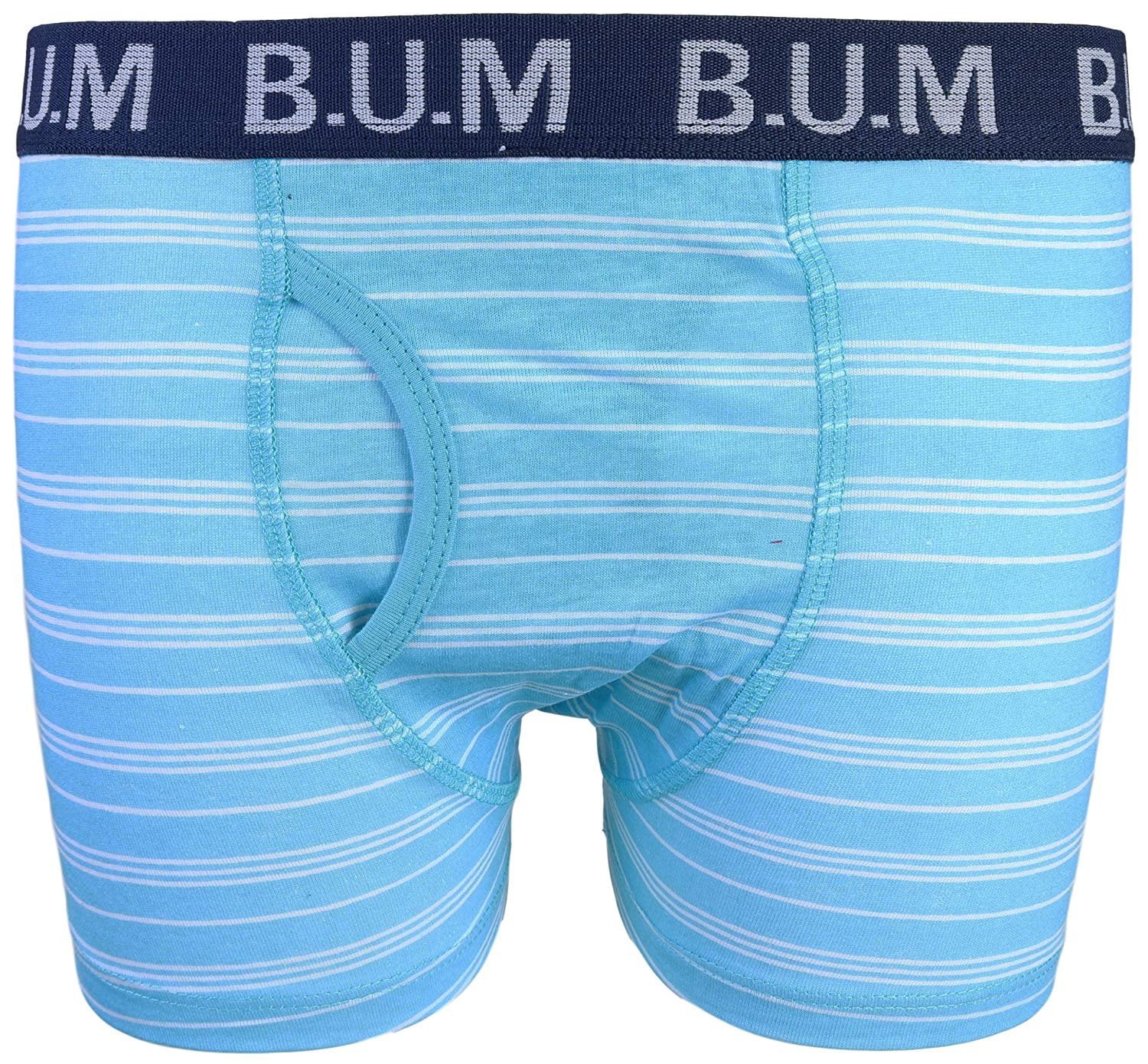Solids and Stripes Equipment Boys 4 Pack Underwear Boxer Briefs B.U.M 