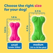 Hartz DuraPlay Medium Dog Bone, Latex, 1 Count