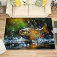 thumbnail image 1 of 2x3 Rug, Bass Fish Door Mat, Fishing Fisherman Rug, Pike Fish Rugs for Entryway, Washable & Non Slip & Soft Low Pile Small Carpet, Indoor Doormat, Bass Fish Home Decor & Gifts, 1 of 7