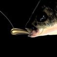 thumbnail image 3 of Anzuelos de pesca FLhrweasw 10 Uds. Resistentes a la corrosión y a Prueba de Herrumbre 4# 41g, 3 of 9
