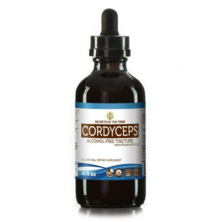 Cordyceps Mushroom - Cordyceps Tincture Alcohol-FREE Extract, Organic Cordyceps (Cordyceps Sinensis) Dried Mushroom 4 oz