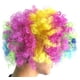 thumbnail image 3 of Peluca de Afro coloreada disfraz de Halloween para niño BLESIY Víspera de Todos los Santos, 3 of 3