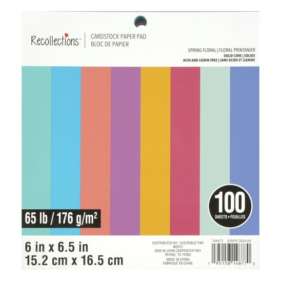 6" x 6.5" Spring Floral Cardstock Paper Pad by Recollections - Acid and Lignin Free Paper for Scrapbooks - Arts & Crafts - 6 Pack