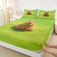 thumbnail image 4 of Erosebridal Brown Capybaras Full Size Sheets,Funny Mouse Rodent Bed Sheets For Capybara Lovers 4-Piece, 4 of 6