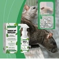 thumbnail image 5 of Paddsun Peppermint Oil Rodent Repellent Spray, Mouse Trap Repellent Spray for Rats, 5 of 6