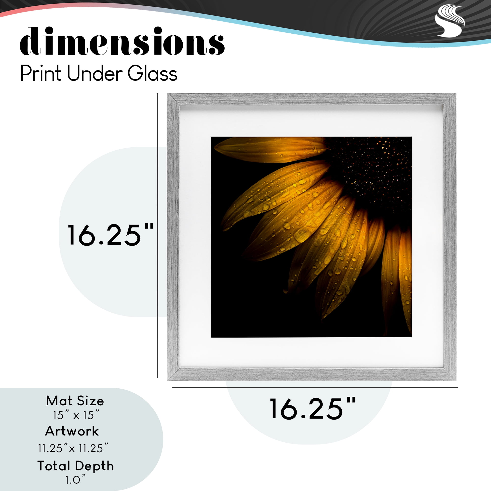 Sunflower Detail with Droplets Gray Framed Print Under Glass, design by Brian Carson Photography
