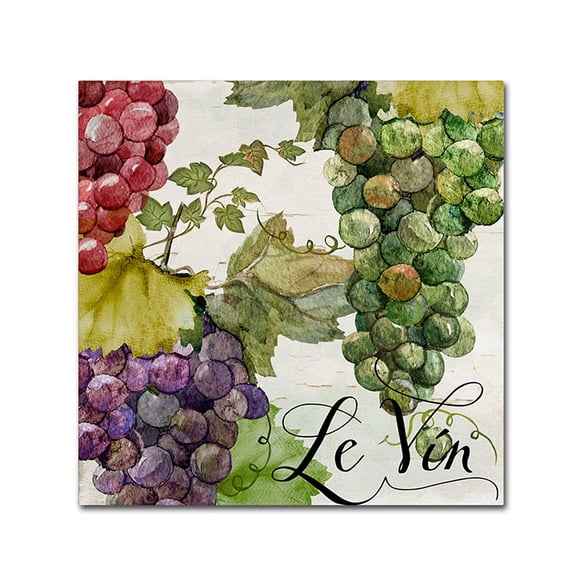 Trademark Fine Art "Wines of Paris II" Canvas Art by Color Bakery