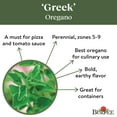 thumbnail image 5 of Burpee Organic Greek Oregano Herb Seed, 1-Pack, 5 of 6