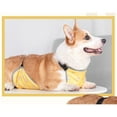 thumbnail image 4 of Dog Belly Protector,Waterproof Dog Bib Chest Protector Dog Belly Vest Dog Belly Cover Protector Harness for  Short Leg Puppy, Provide Warmth and Comfort, 4 of 7