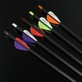 thumbnail image 7 of SHARROW 31" Carbon Arrows Hunting Arrows Spine 250 300 350 400 500 600 with Replaceable Points Targeting Practice Arrows for Compound/Recurve/Long Bow 6/12pcs, 7 of 7