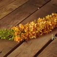 thumbnail image 3 of Northlight 44" Yellow/Green Foxtail Artificial Spring Crafting Stem, 3 of 3