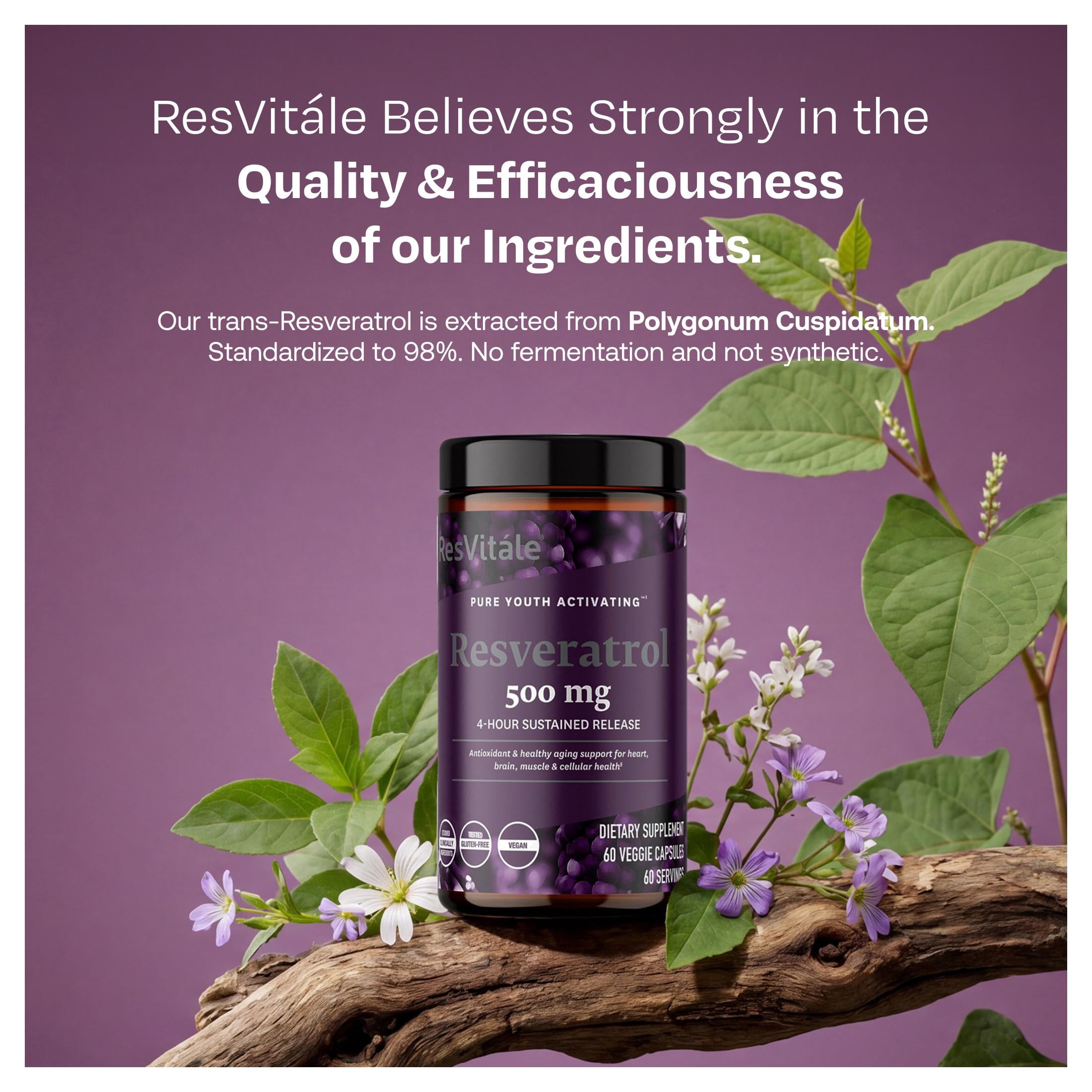 ResVitále Resveratrol 500 mg - Resveratrol Supplement for Men and Women - 60 Veggie Capsules