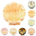 thumbnail image 2 of Jaw Clip Mini Creative Shell Fashion Non-Slip Claw Clip Hair Clamp for Girls, 2 of 5