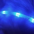 thumbnail image 3 of Youpin LED Dog Collar Glowing USB Rechargeable Pet Dog Collar, 3 of 8