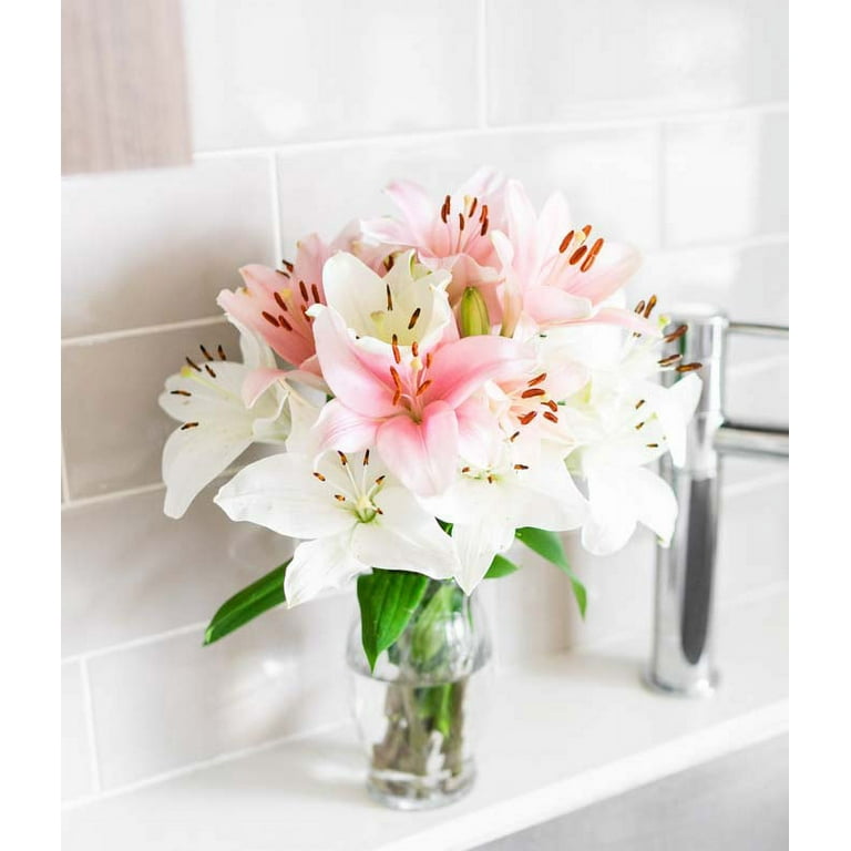 From You Flowers - Stunning Pink and White Lilies (Fresh Flowers)