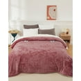 thumbnail image 4 of CazToi Electric Heated Throw Blanket 90x100 Inch Fast Heating Sherpa with Heat & Timer Settings, 4 of 10