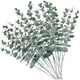 thumbnail image 2 of 80 Piezas Tallos de Eucalipto Artificiales Hojas Falsas Ramas de Plantas de Eucalipto Verde Gris Falso Tallos para Boda, 2 of 5