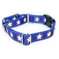 thumbnail image 3 of Country Brook Petz® American Stars Martingale With Deluxe Buckle Limited Edition, Large, 3 of 5