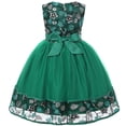 thumbnail image 3 of Girl's Embroidered Dress Girl's Evening Lace Princess Dress Flower Girl Mesh Fluffy Dress, 3 of 8
