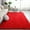 Red, variant on Area Rugs for Living Room Bedroom, Microfiber Soft Plush Carpet,Floor Mat,Shaggy Cozy Dorm Plush Home Rug,Red 2,D