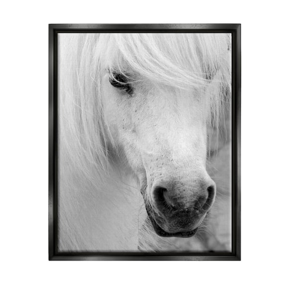 Stupell Industries White Horse Close Up Animals & Insects Photography Black Floater Framed Canvas Art Print Wall Art, 17 x 21