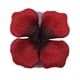 thumbnail image 1 of 3000 piezas de pétalos de rosa, pétalos de flores artificiales para decoración de flores para fiesta de boda del día de San Valentín, 1 of 5