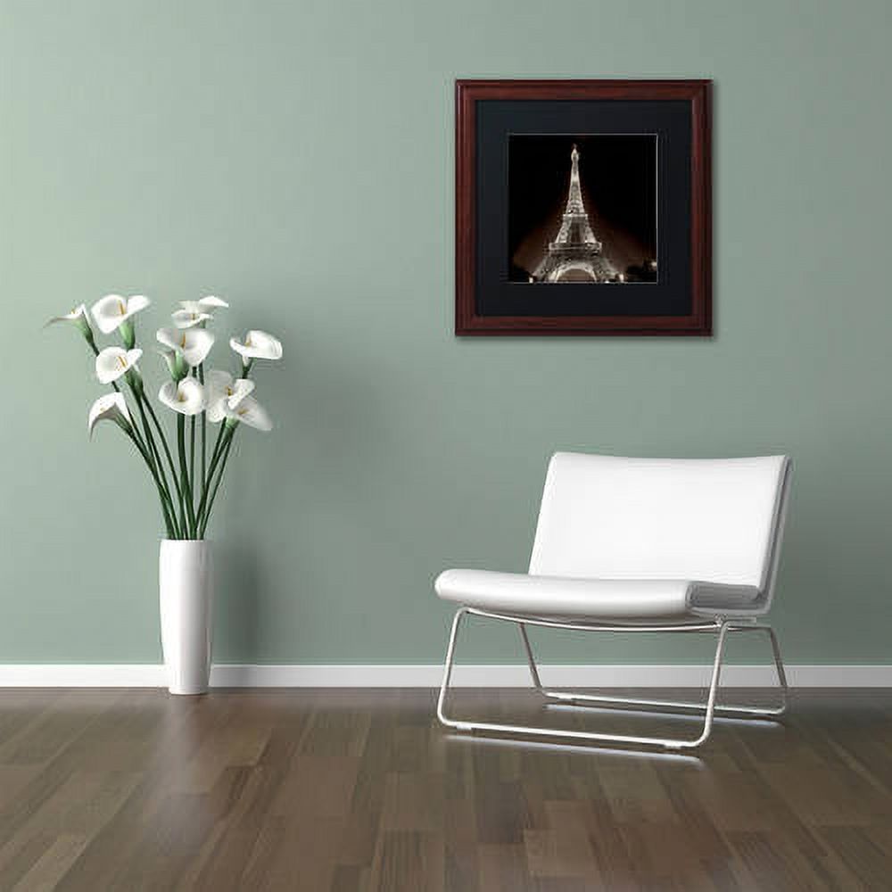Trademark Fine Art "Tour Eiffel II" Canvas Art by Alan Blaustein, Black Matte, Wood Frame