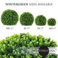 thumbnail image 5 of 3rd Street Inn 19" Artificial XXL Wintergreen Topiary Balls - 2 Pack, 5 of 6