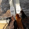 thumbnail image 4 of Hanging Gravity Poultry Feeder, Grit Dispenser Chicken Feeder, No Waste Design Feeding Station for Hens Ducks Coop, 4 of 5